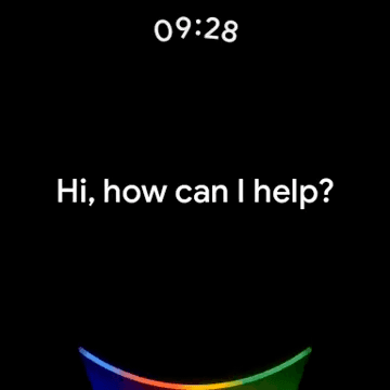 Pixel Watch Google assistant